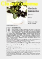 Gardenia jasminoides Scheda di coltivazione