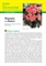 Begonia Completa: elatior, hiemalis, limmingheana, rex cultorum Gloire de lorraine - Scheda di coltivazione
