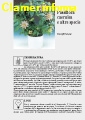 Passiflora caerulea - Scheda di coltivazione