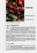 Fuchsia Scheda di coltivazione