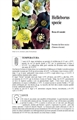 Helleborus spp I edizione - Elleboro - Rosa di Natale